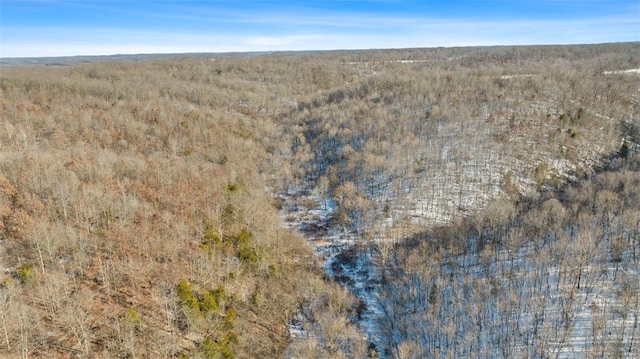 71.9ACRES/- Sugar Valley Cir, Pineville, MO 64856 - photo 24