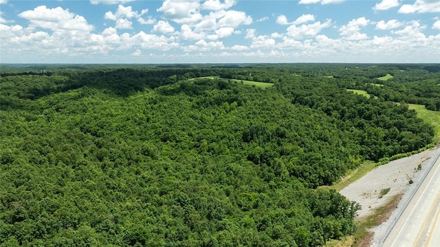 71.9ACRES/- Sugar Valley Cir, Pineville, MO 64856 - photo 10