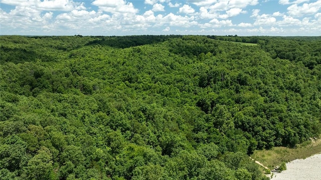 71.9ACRES/- Sugar Valley Cir, Pineville, MO 64856 - photo 11