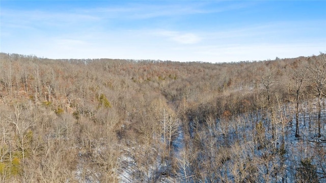 71.9ACRES/- Sugar Valley Cir, Pineville, MO 64856 - photo 26