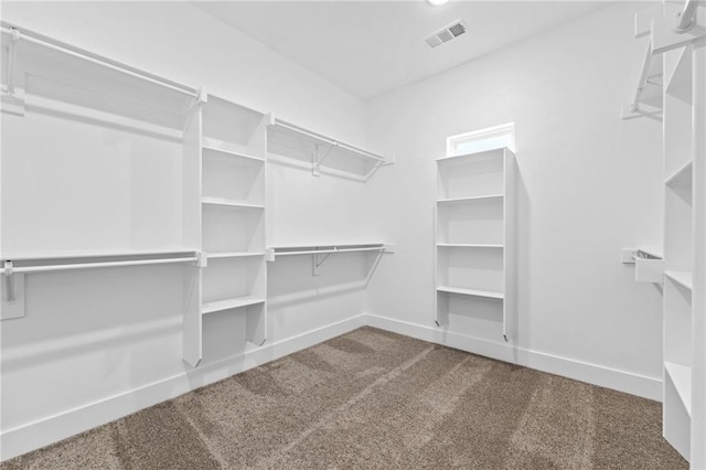 walk in closet featuring carpet