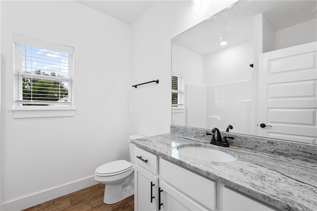 bathroom with a shower, vanity, and toilet