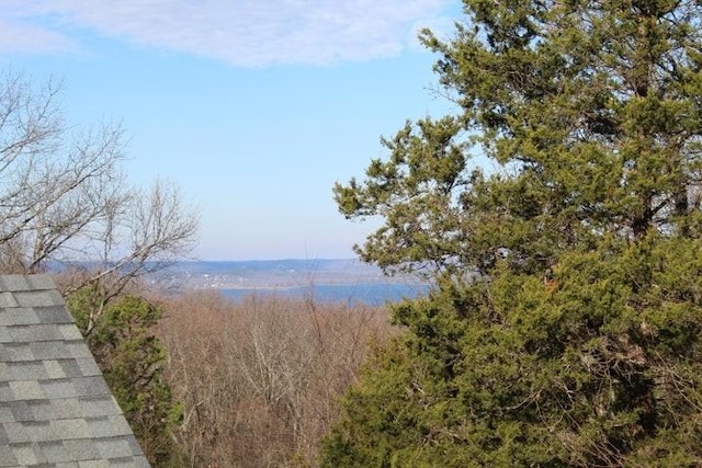 635 Ranchview Rd, Ridgedale, MO 65739 - water view
