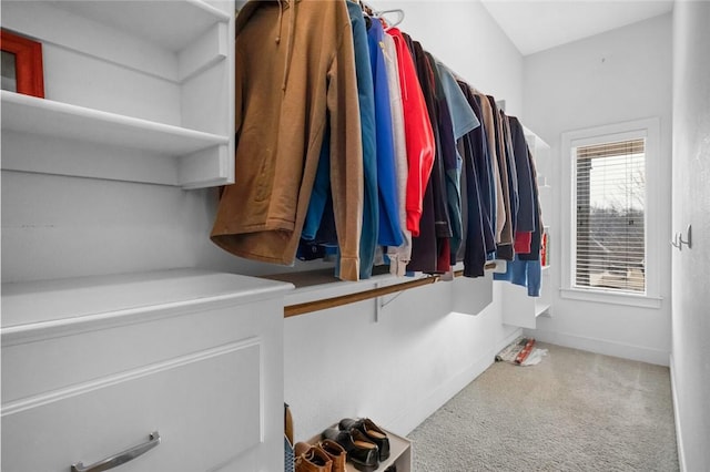 spacious closet featuring carpet floors