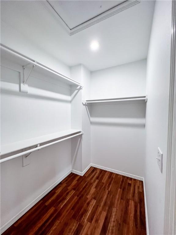 walk in closet with dark wood finished floors