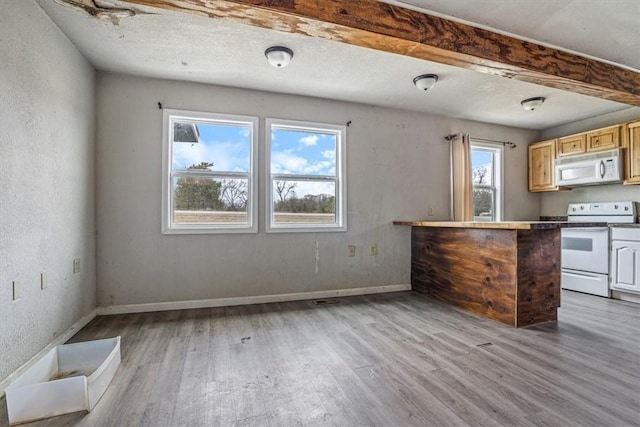 kitchen featuring plenty of natural light, white appliances, light brown cabinetry, and light hardwood / wood-style flooring