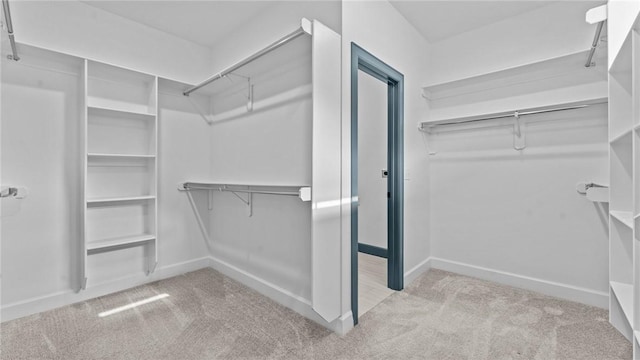 walk in closet with light colored carpet