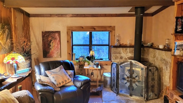 sitting room with a wood stove and a baseboard heating unit