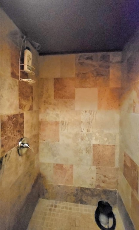 room details featuring a tile shower