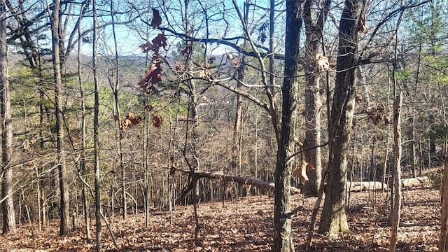 view of local wilderness