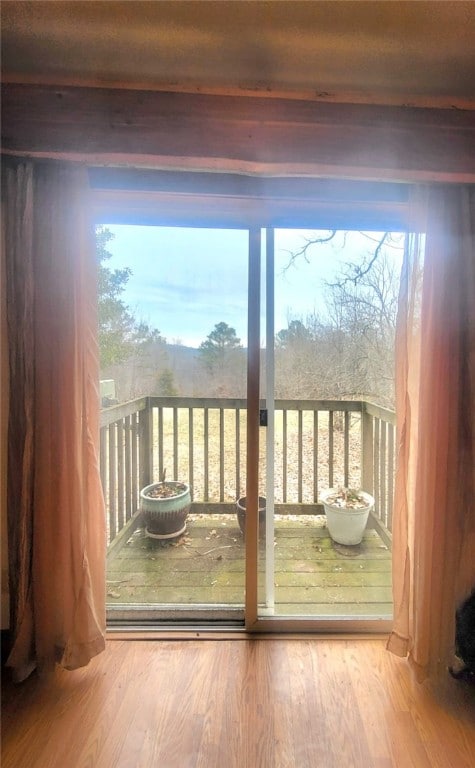 doorway to outside featuring hardwood / wood-style floors