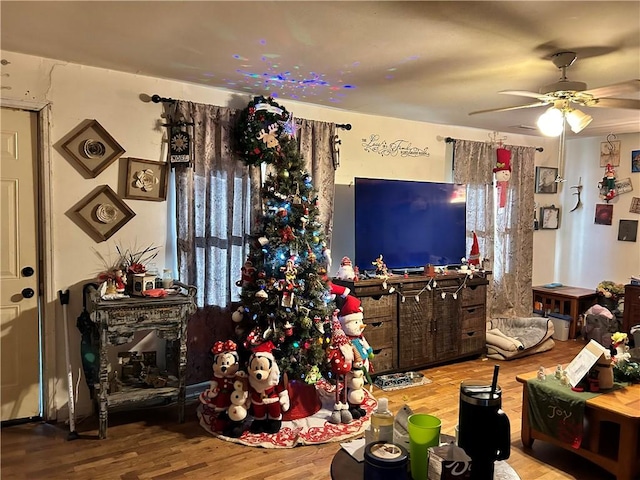 living room with hardwood / wood-style flooring and ceiling fan