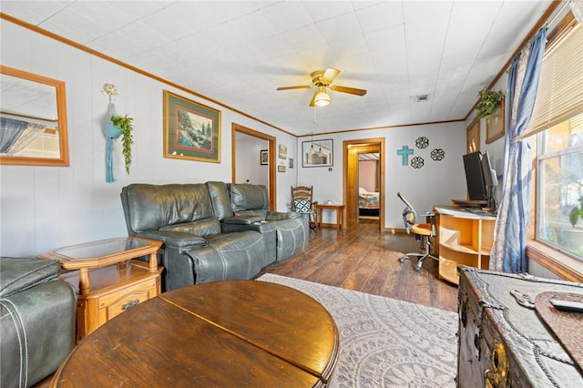 living room with dark hardwood / wood-style floors, ceiling fan, and ornamental molding