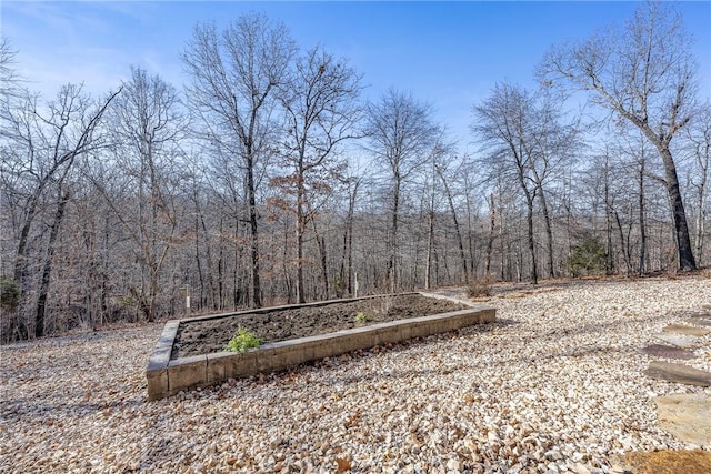 1 Portland Cir, Bella Vista, AR 72714 - photo 28