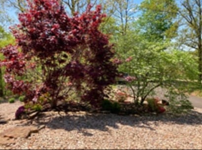 1 Portland Cir, Bella Vista, AR 72714 - photo 31