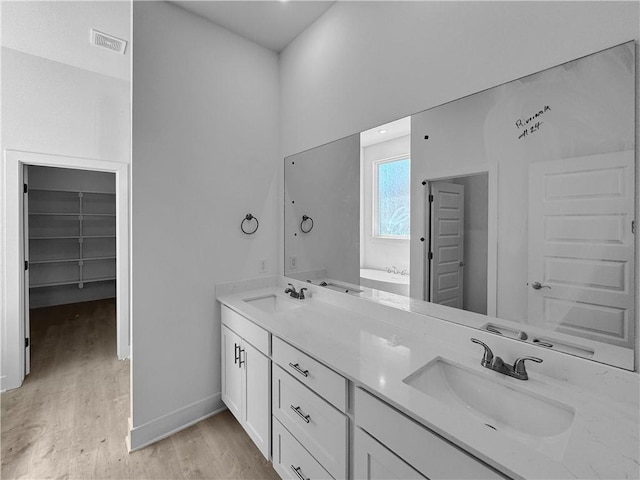 bathroom featuring hardwood / wood-style floors and vanity