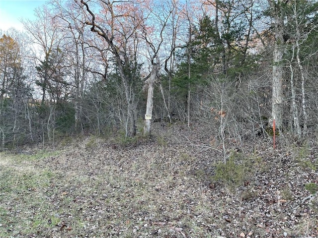 Ria Ln, Eureka Springs AR, 72631 land for sale