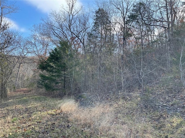 Ria Ln, Eureka Springs, AR 72631 - photo 2