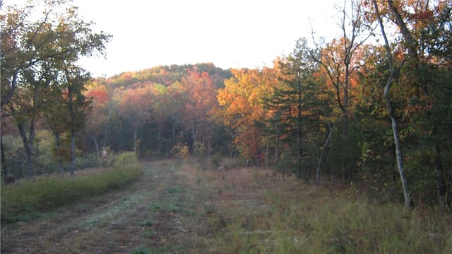 Ria Ln, Eureka Springs, AR 72631 - photo 3