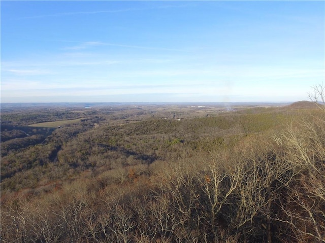 Ria Ln, Eureka Springs, AR 72631 - photo 4