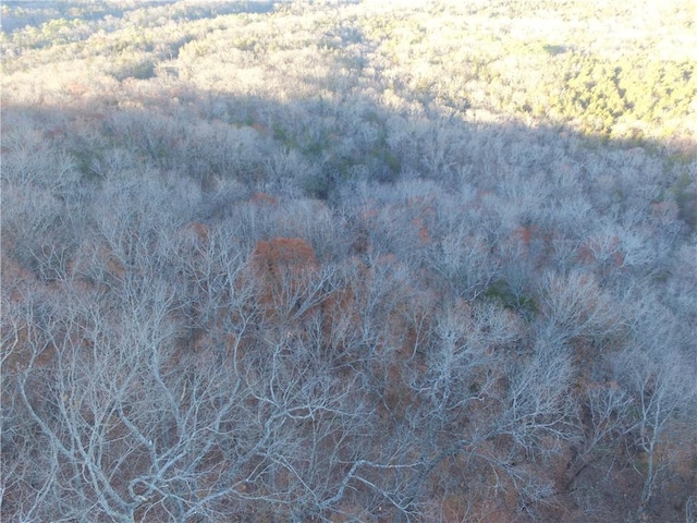 Ria Ln, Eureka Springs, AR 72631 - photo 5