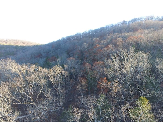 Ria Ln, Eureka Springs, AR 72631 - photo 6
