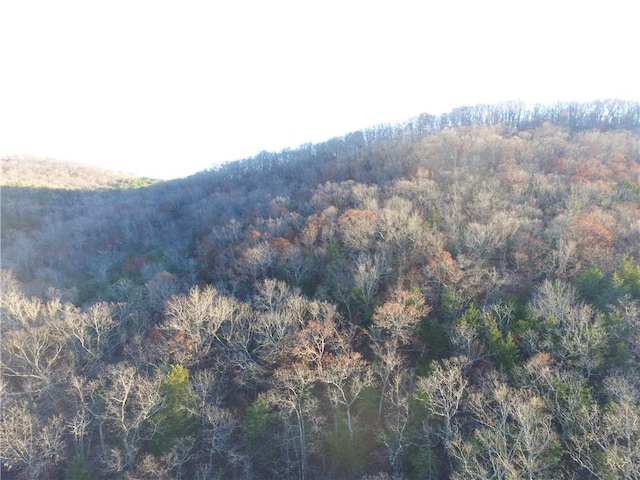 Ria Ln, Eureka Springs, AR 72631 - photo 7