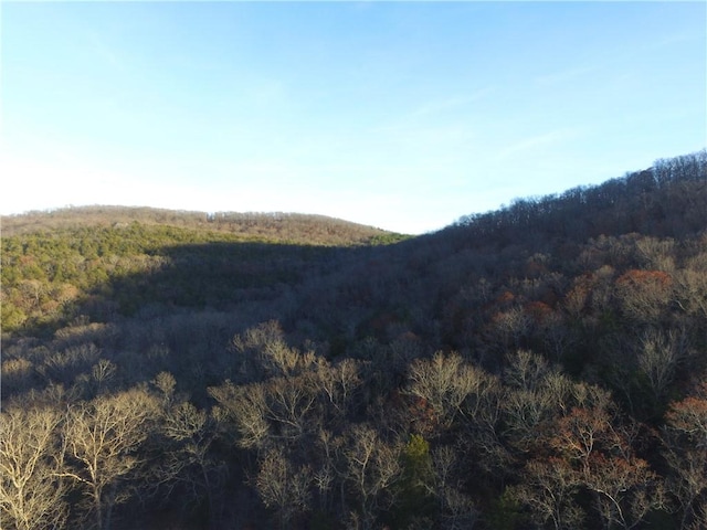 Ria Ln, Eureka Springs, AR 72631 - photo 8