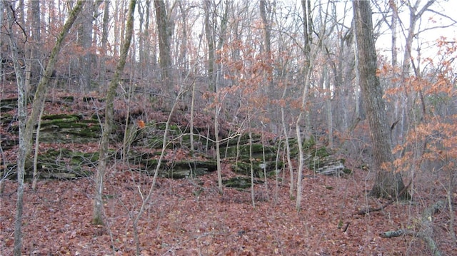 Ria Ln, Eureka Springs, AR 72631 - photo 12