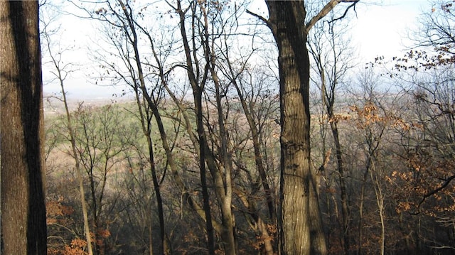 Ria Ln, Eureka Springs, AR 72631 - photo 13