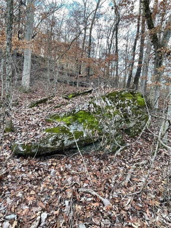 Ria Ln, Eureka Springs, AR 72631 - photo 34