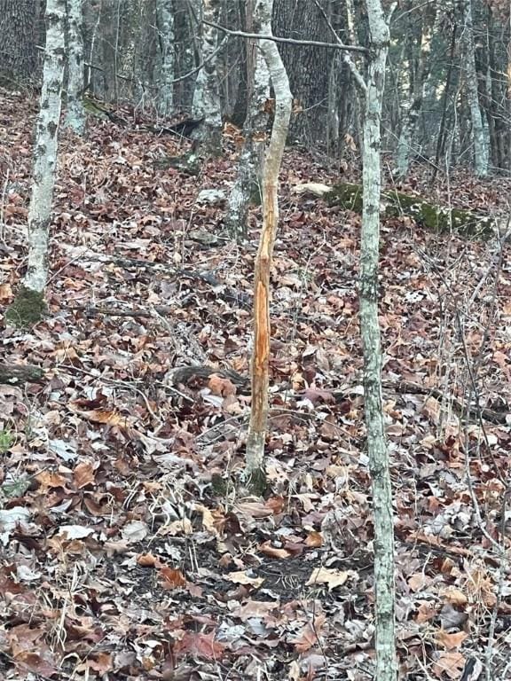 Ria Ln, Eureka Springs, AR 72631 - photo 18