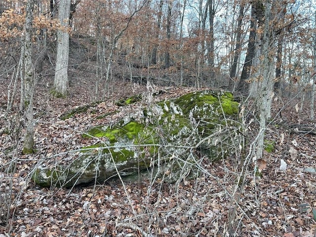 Ria Ln, Eureka Springs, AR 72631 - photo 20