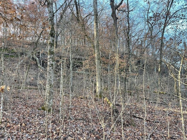 Ria Ln, Eureka Springs, AR 72631 - photo 23