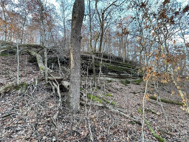 Ria Ln, Eureka Springs, AR 72631 - photo 26
