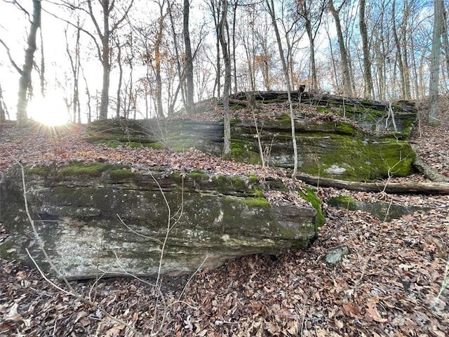 Ria Ln, Eureka Springs, AR 72631 - photo 27