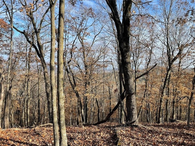 Ria Ln, Eureka Springs, AR 72631 - photo 30