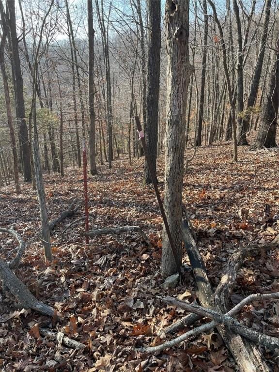 Ria Ln, Eureka Springs, AR 72631 - photo 31