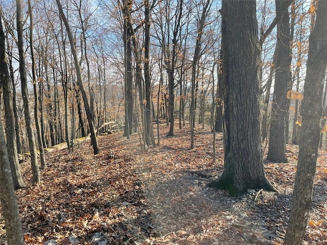 Ria Ln, Eureka Springs, AR 72631 - photo 33
