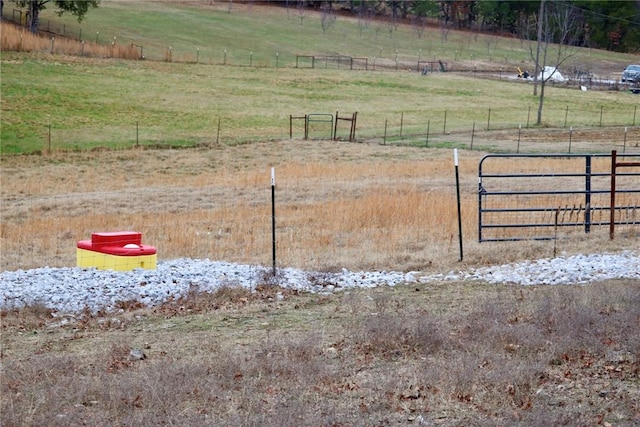 view of yard featuring a rural view