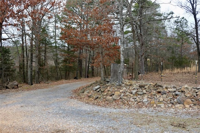 view of road