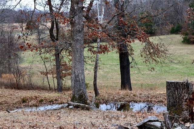 view of local wilderness