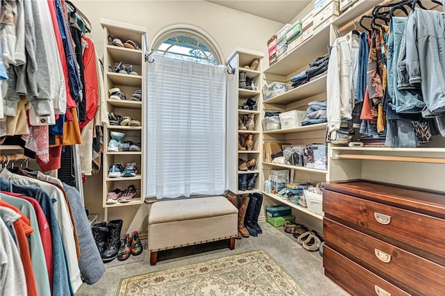 spacious closet featuring carpet flooring