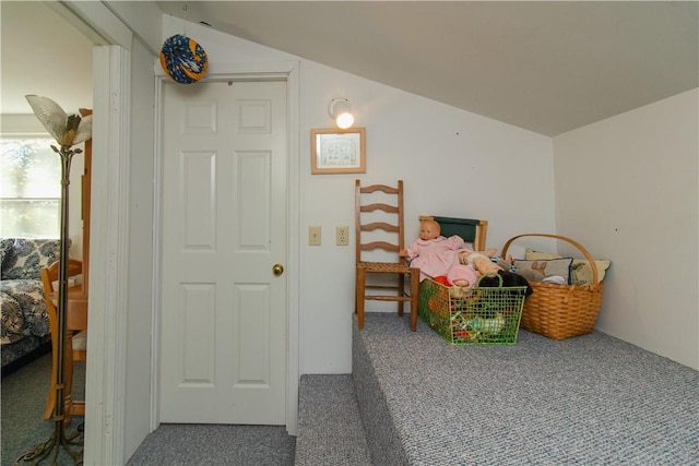 bedroom featuring lofted ceiling