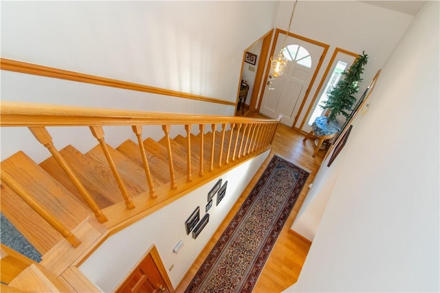 entrance foyer with hardwood / wood-style floors