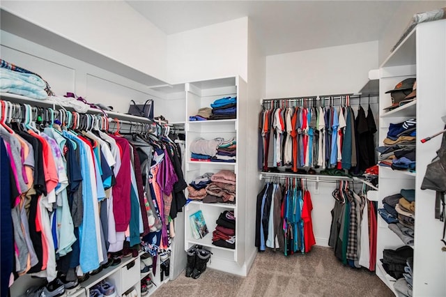 spacious closet with carpet floors