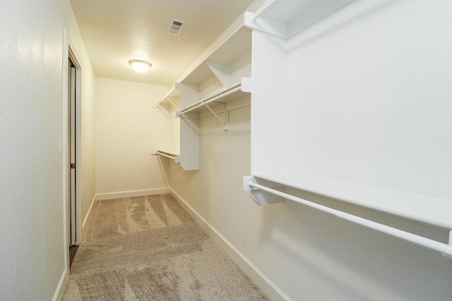 spacious closet with light colored carpet