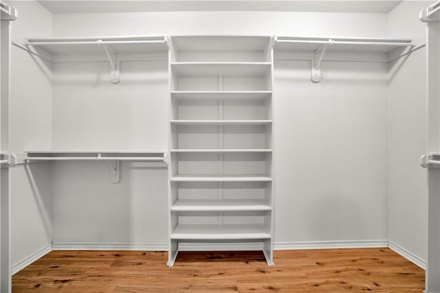 spacious closet featuring wood finished floors