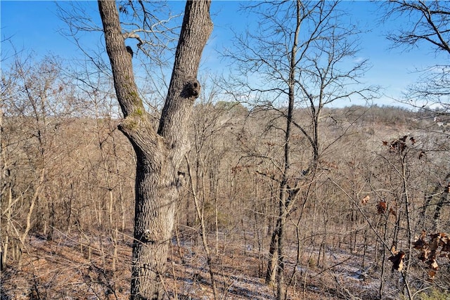 view of landscape with a forest view