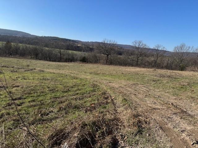 Listing photo 3 for 20247 Boys Home Rd, Morrow AR 72744